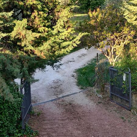 Il Rusticano Chianni Exteriör bild
