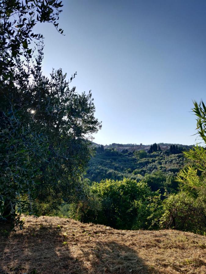 Il Rusticano Chianni Exteriör bild