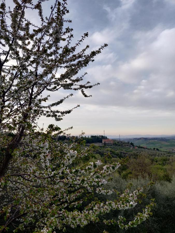 Il Rusticano Chianni Exteriör bild