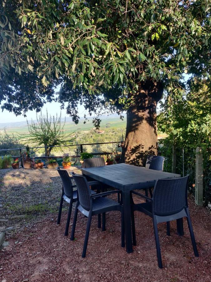 Il Rusticano Chianni Exteriör bild