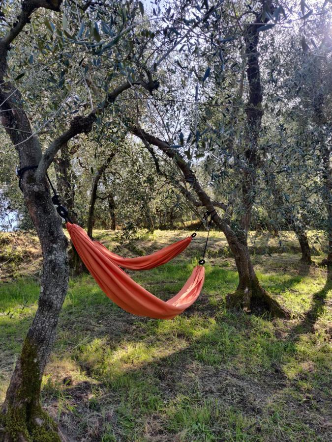 Il Rusticano Chianni Exteriör bild