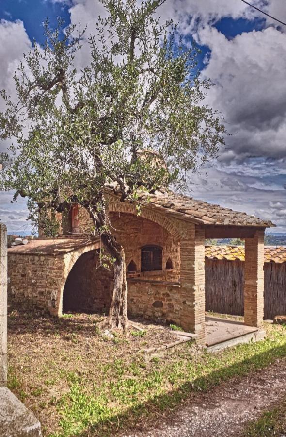 Il Rusticano Chianni Exteriör bild